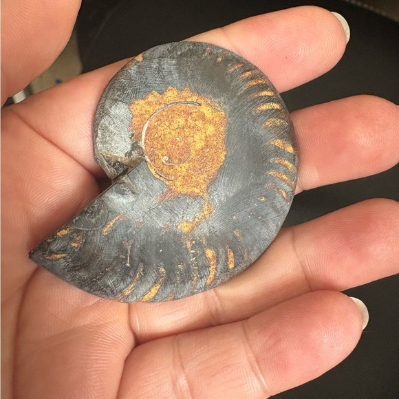Beautiful Ammonite  - black ammonite fossil  🤩 For the fossil lovers - Picture 2 of 4
